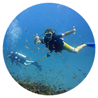 Two people scuba diving in Grenada.