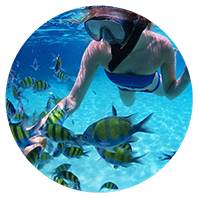 A woman snorkelling with fish in the water in Grenada.