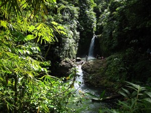 the first falls