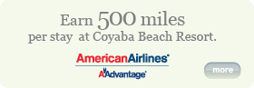 American Airlines AAdvantage
