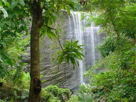Mt Carmel Falls