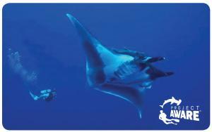 PADI 100 AWARE manta ray card with Eco Dive Grenada