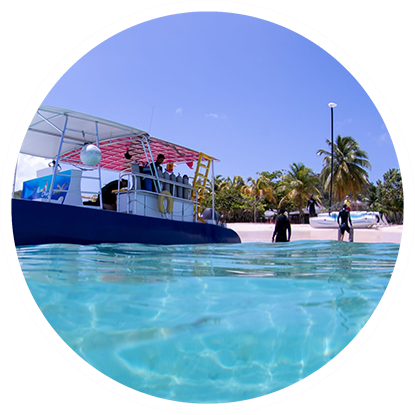 A boat is in the water near a beach, close to the Grenada Underwater Sculpture Park.