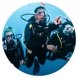 PADI Professional Courses