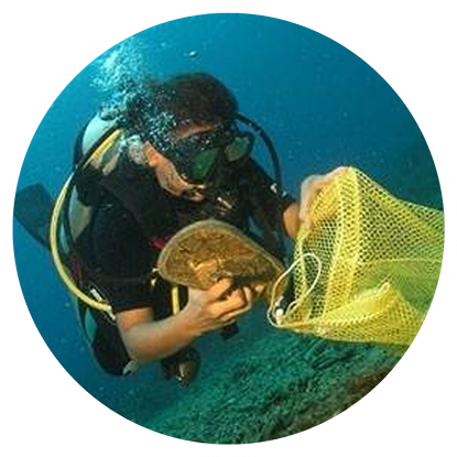 A scuba diver holding a net in the water while scuba diving in Grenada.