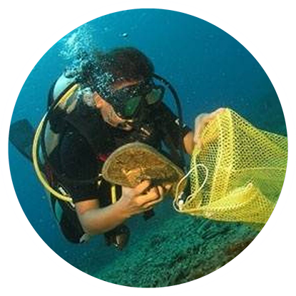 A scuba diver holding a net in the water while scuba diving in Grenada.