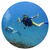 Two people scuba diving in Grenada.