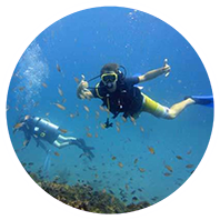 Two people scuba diving in Grenada. Two people scuba diving in Grenada.