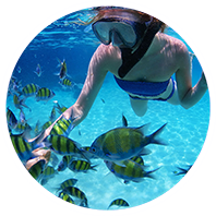 A woman snorkelling with fish in the water in Grenada.