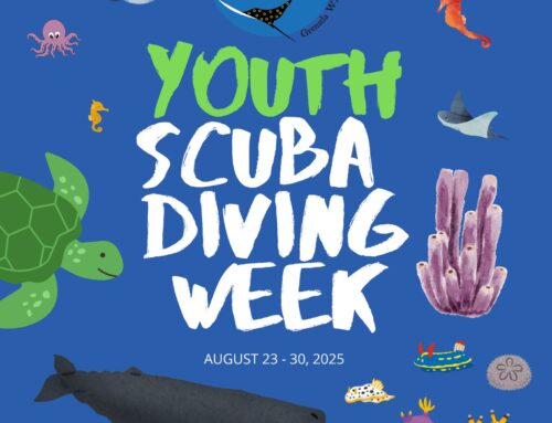 Youth Scuba Week is back with Eco Dive!