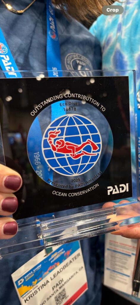 Eco Dive wins PADI recognition for Outstanding Contribution to Ocean Conservation in Grenada