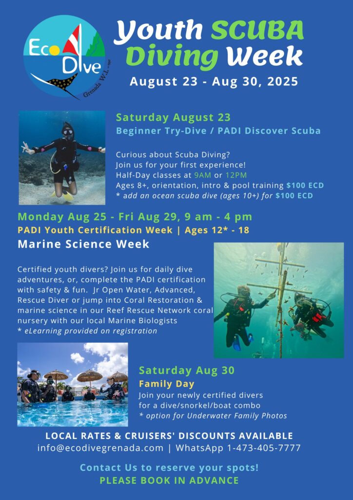 Local & Cruiser Discounts Youth Scuba Week Grenada with Eco Dive PADI Youth Scuba Week with Eco Dive in Pure Grenada