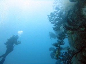PADI Wreck Specialty Course PADI Jr Advanced Open Water