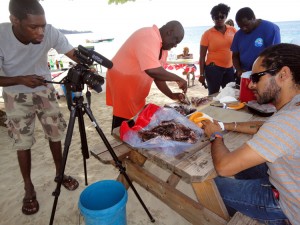 CORAL Lionfish Grenada Eco Dive