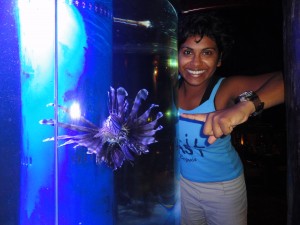Eco Dive teaches about the invasive lionfish Grenada