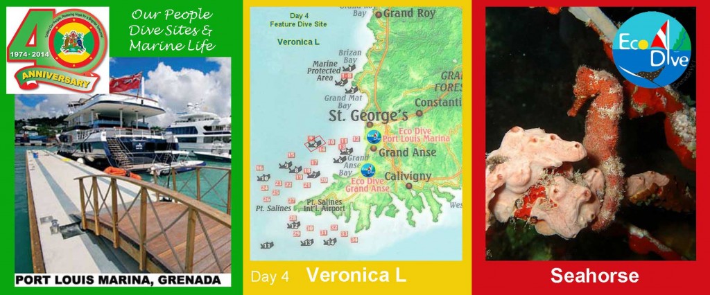 Eco Dive celebrates Grenada day 4