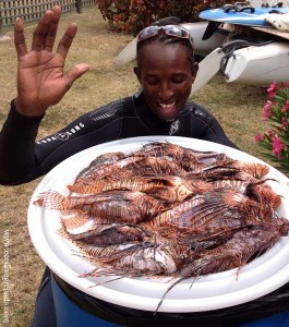 Eco Dive lionfish catch Grenada