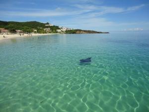 Eco Dive Manta Ray Grand Anse Beach 