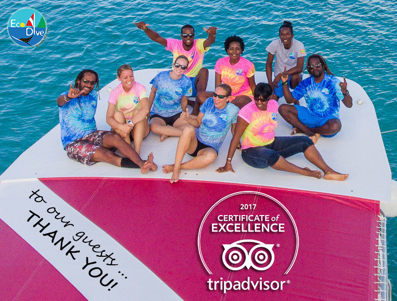 Grenada award of excellence Trip Advisor Eco Dive