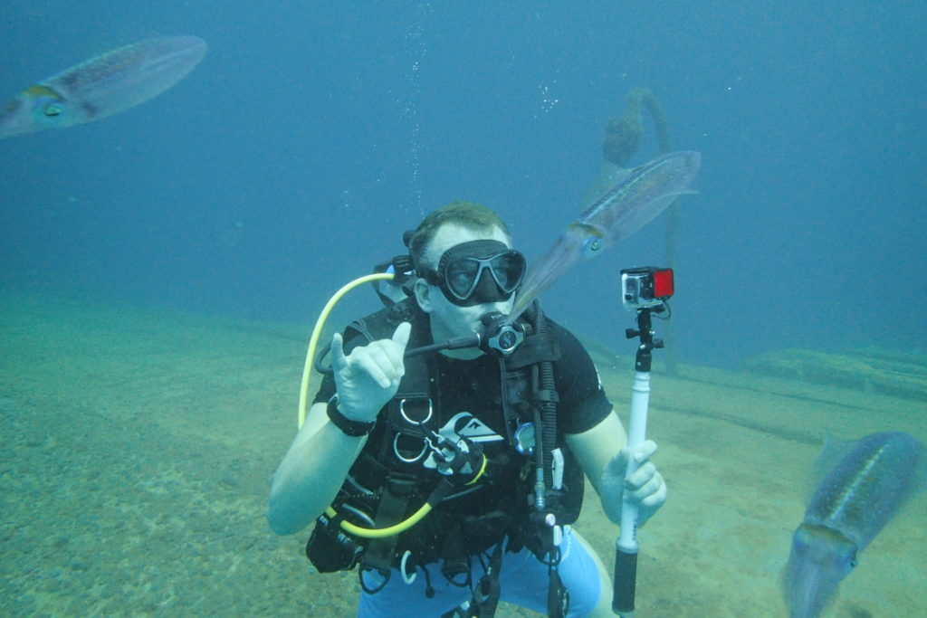 wreck diving, marine life, squid, shipwrecks, Grenada