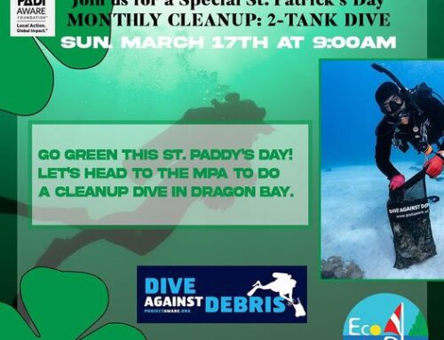 St Patricks Day Underwater Cleanup