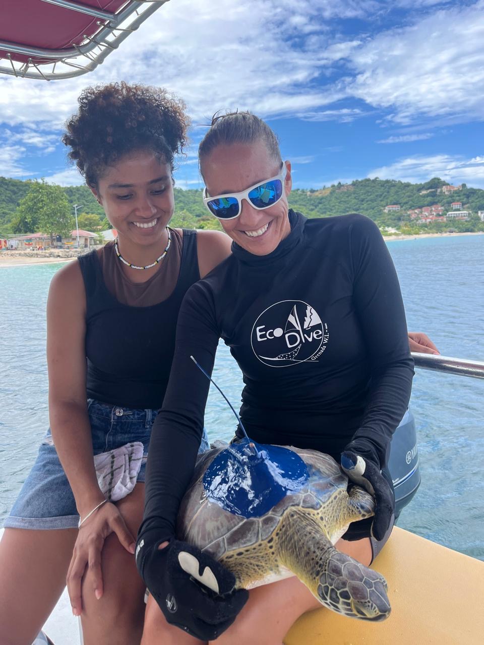 Two people on a boat hold a Green sea turtle with a tracking device attached. One wears sunglasses and an Eco Dive shirt, showcasing their commitment to ECO-friendly practices. The serene water and distant shoreline complete the scene, highlighting the importance of satellite tracking for marine life.