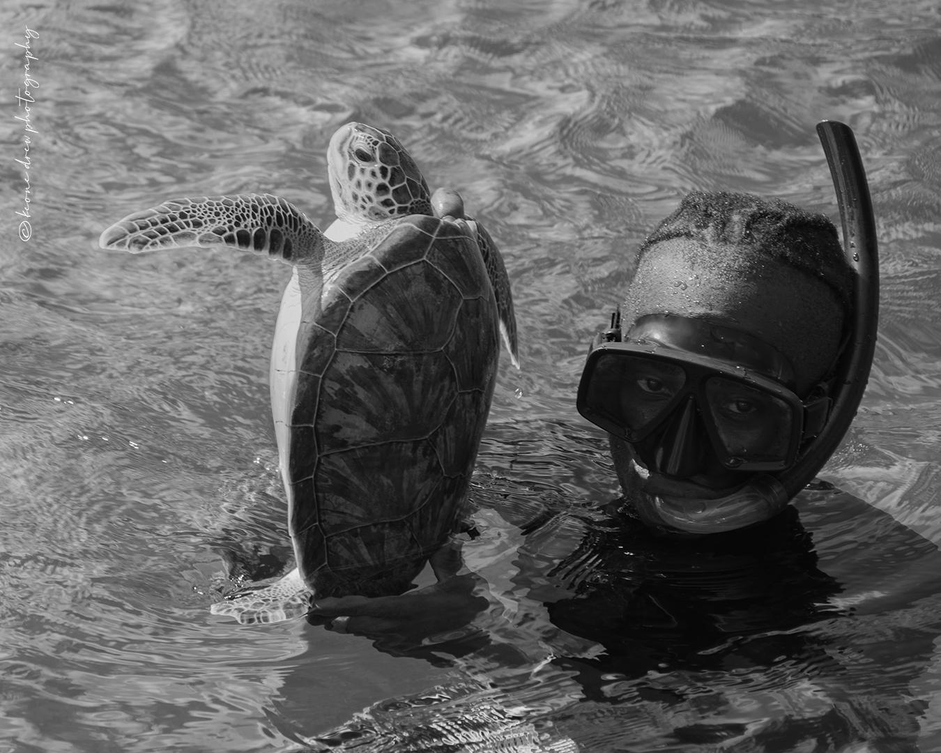 One of the sea turtle research divers safely catching an endangered sea turtle for Ocean Spirits research