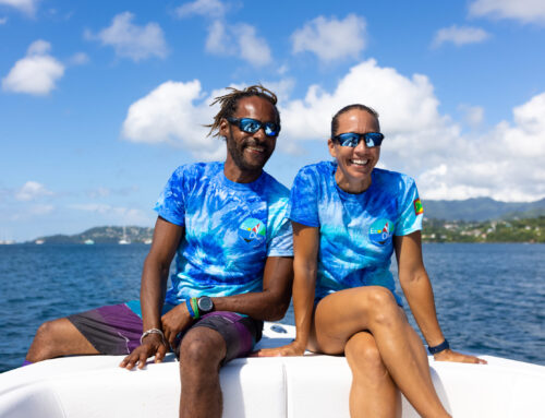 Eco Dive joins the Reef Rescue Network for coral restoration, volunteer in our nursery today!