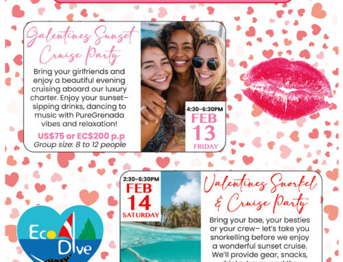 February we are celebrating! Let’s focus on our people, it’s all about friendship & ONE LOVE