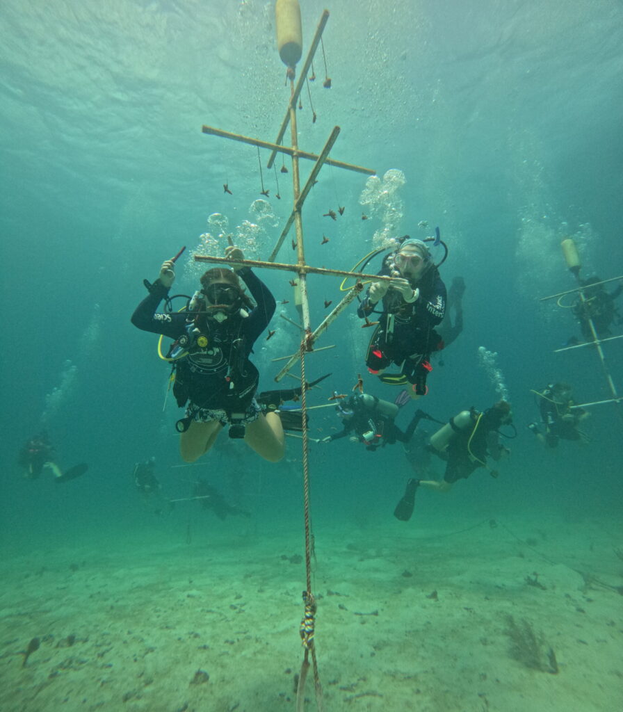 DCIM100GOPROGOPR4236.JPG