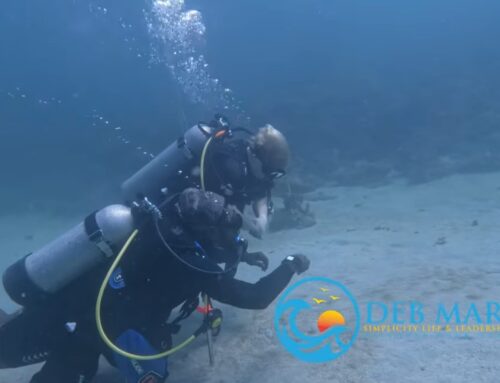 Congratulations Kelly! Achieving big scuba goals!