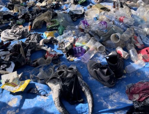 Spicemas Jab Jab Clean Up Dive Grand Anse Beach