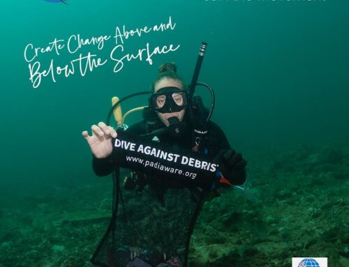 Eco Dive celebrates PADI AWARE Week & Int’l Coastal Clean Up Day, join us!