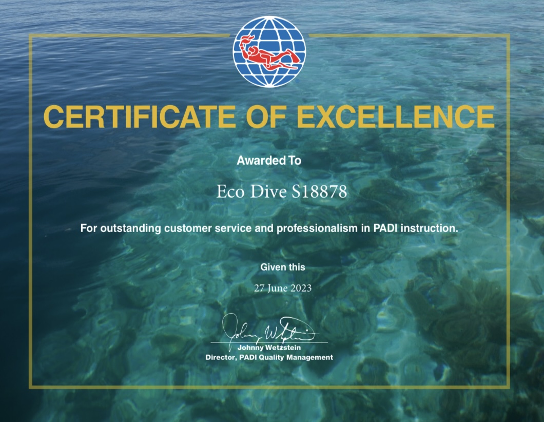 PADI scuba training Grenada Excellence award