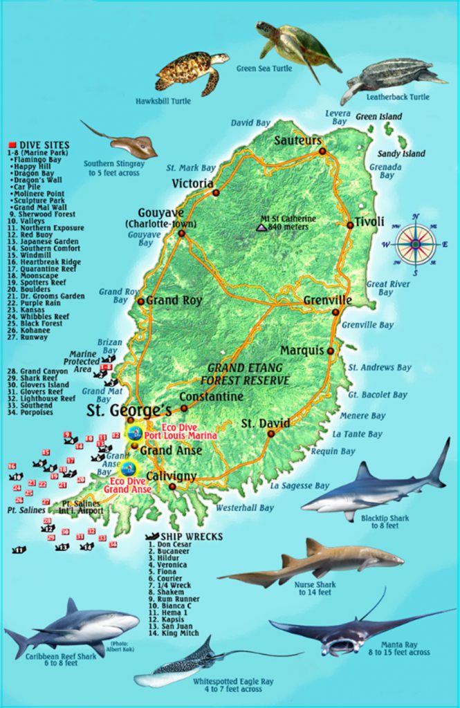 Dive Sites ECO Dive Grenada