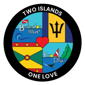 Grenada Blue Eco Dive & Barbados Blue sister dive shops. PADI 5 Star professional friendly service, Eco ocean vibes