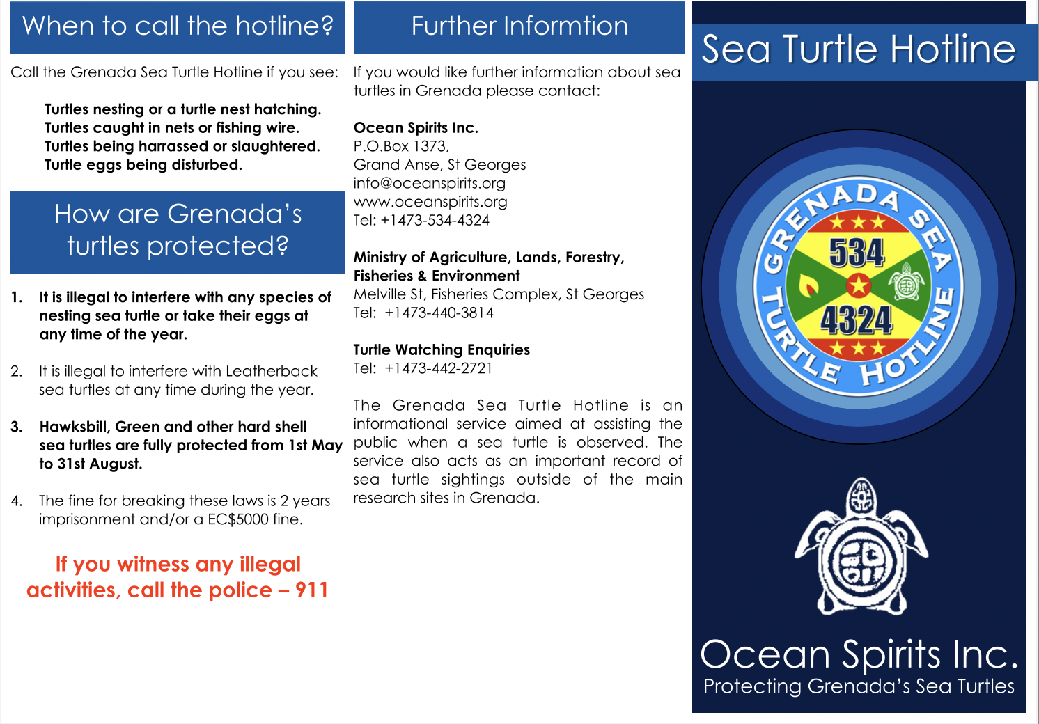 Sea Turtle Conservation Grenada