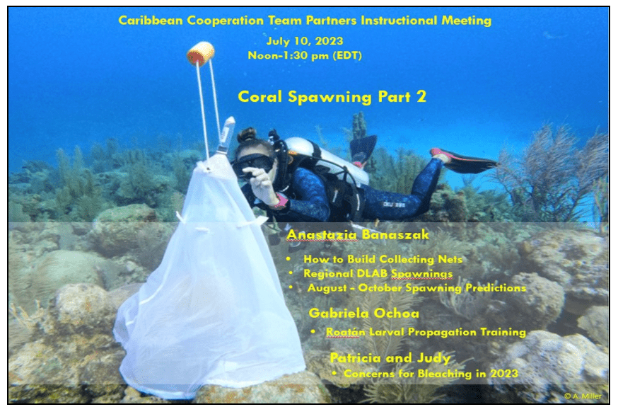 Caribbean corporate team international meeting in Grenada for scuba diving.