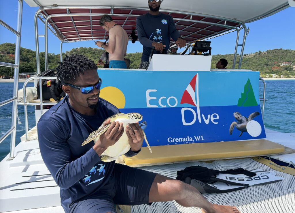 Oceans Spirits Eco Dive conservation Grenada sea turtles padi aware