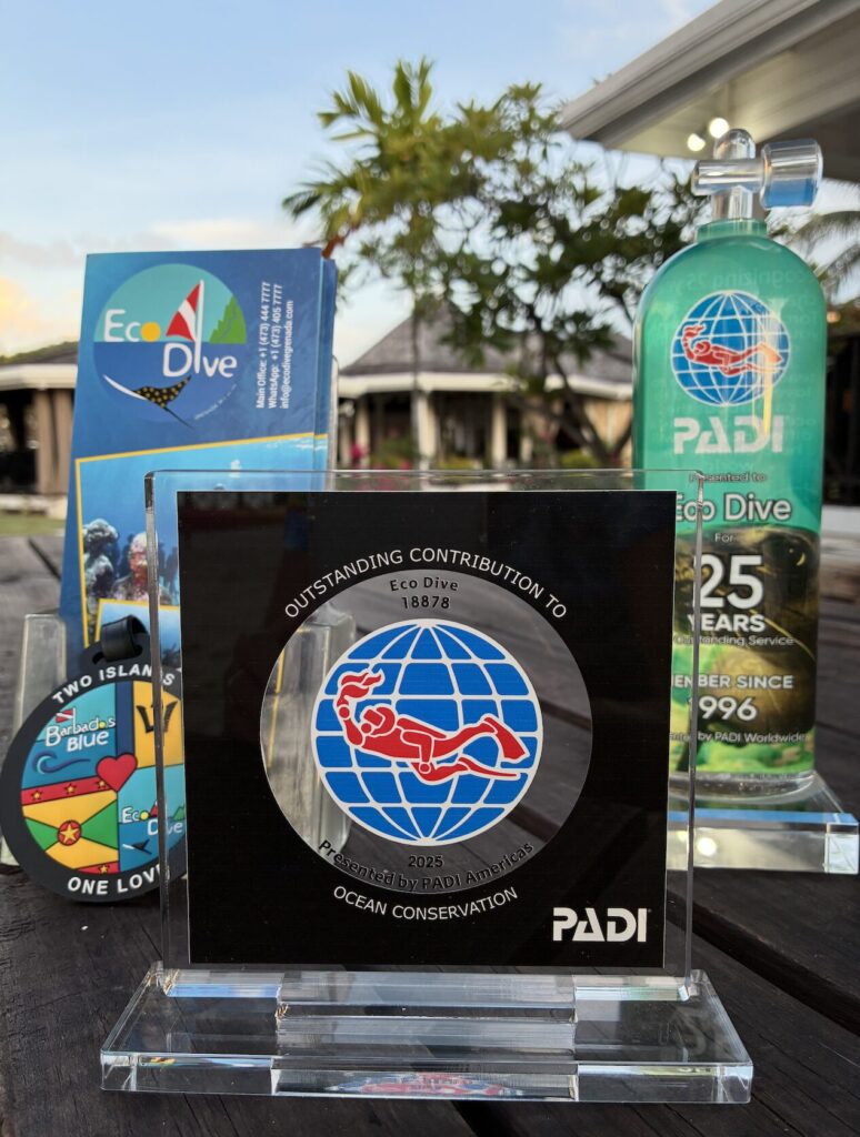 Eco Dive wins PADI recognition for Outstanding Contribution to Ocean Conservation