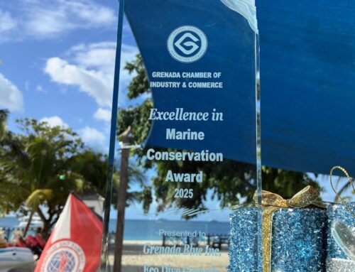 Eco Dive wins! Award for Excellence in Marine Conservation via Grenada Chamber of Industry & Commerce