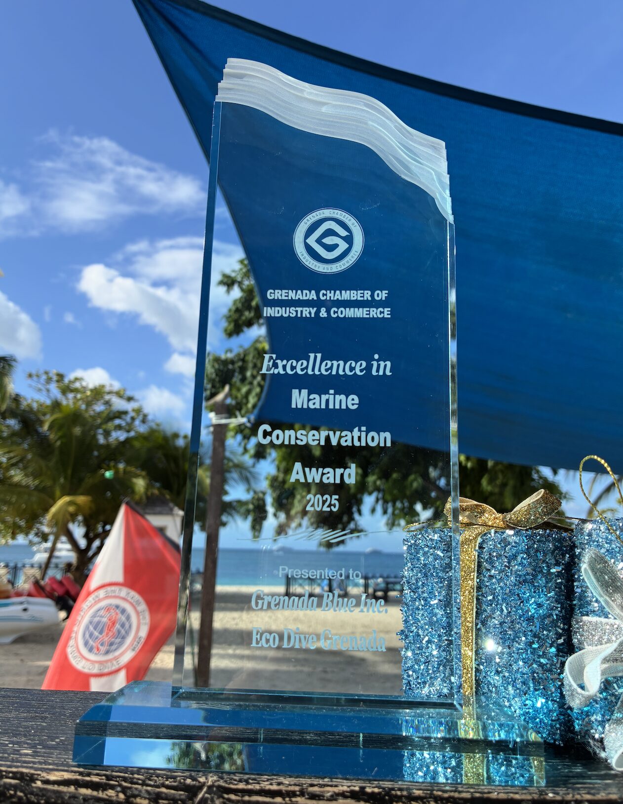 Eco Dive wins Excellence in Marine Conservation, an award presented by the Grenada Chamber of Industry & Commerce. Grenada scuba diving, padi aware, ocean conservation, youth programmes, coral restoration, scholarships, clean up dive, youth engagement