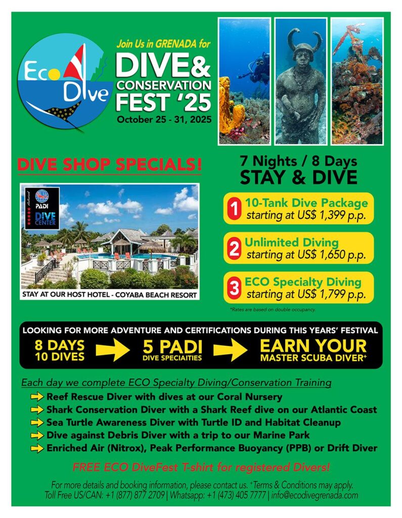 Dive & Stay book direct Eco Dive Coyaba Beach Resort Dive Fest 2025