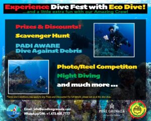     Promotional poster for Eco Dive Fest featuring prizes, discounts, scavenger hunt, PADI AWARE Dive Against Debris, photo/reel competition, night diving, and more. Contact info and terms included. Join us in celebrating dive & conservation!