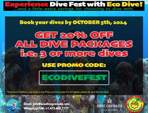 Cruisers, 🇬🇩 Residents & Guests – Join us in Celebrating Upcoming Dive Fest with 20% OFF Dive Packages Until Oct 5!