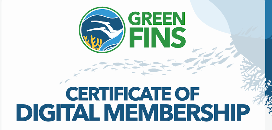 Green fins certificate of digital membership in Eco Dive Grenada.