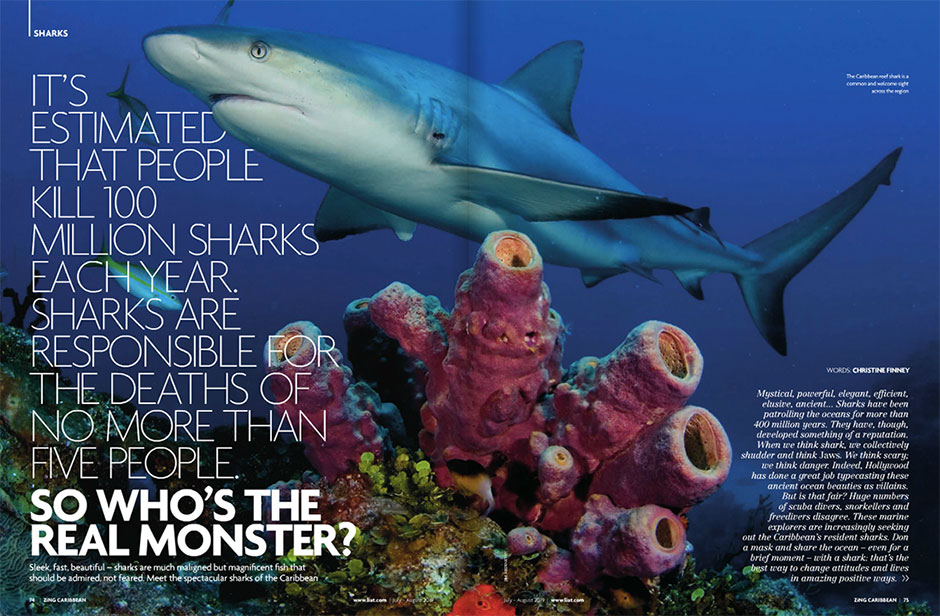 A magazine with a picture of a shark near Grenada's Underwater Sculpture Park.